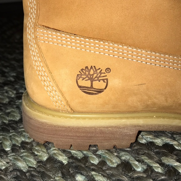Timberlands - Picture 3 of 4
